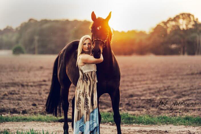 Feld-Sonnenuntergang-Pferd